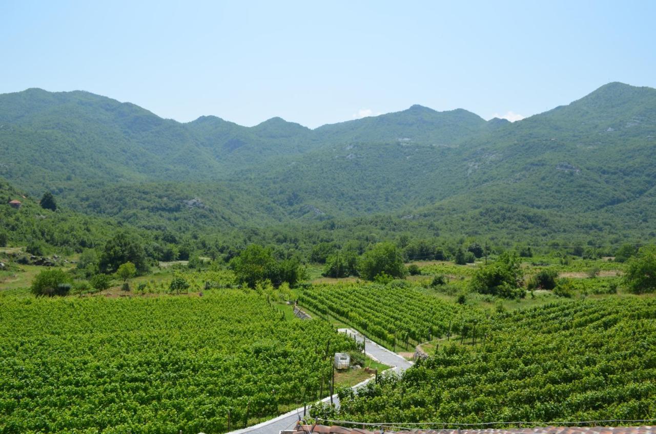 Markovic Winery And Estate Apartments Cetinje Exteriör bild