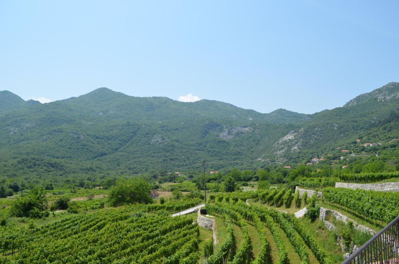 Markovic Winery And Estate Apartments Cetinje Exteriör bild