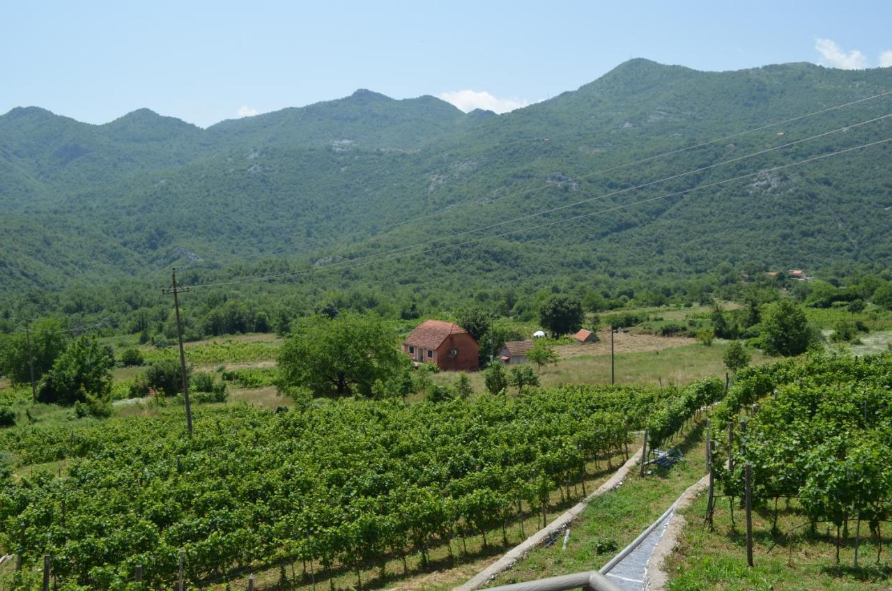 Markovic Winery And Estate Apartments Cetinje Exteriör bild